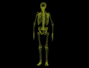 Chiropractic - Glowing green skeleton against black background