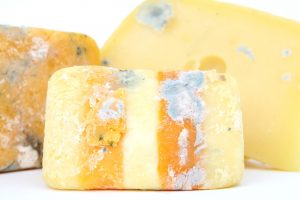 Image of moldy cheese